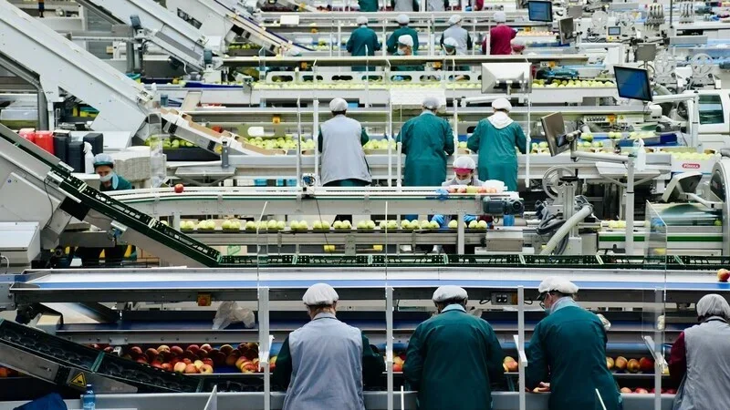 Industria Alimentaria